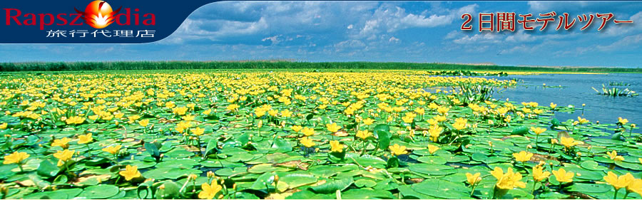 �Q���ԃ��f���c�A�[