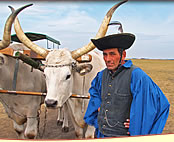 �摜���N���b�N����Ɗg�傳��܂��B