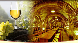 �摜���N���b�N����Ɗg�傳��܂��B